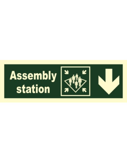 ASSEMBLY STATION (DOWN FROM HERE)