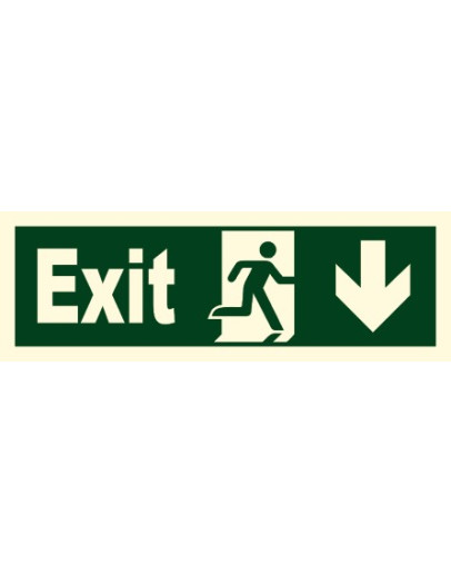 EXIT (DOWN FROM HERE)