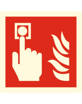 FIRE ALARM CALL POINT