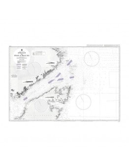 3335 - Puerto Santa Cruz to Estrecho de Magallanes