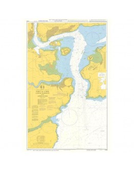 5133 - Port of Cork Lower Harbour and Approaches (INSTRUCTIONAL CHART)