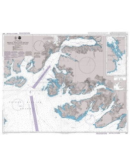 4981 - Prince William Sound Port Fidalgo and Valdez Arm