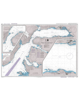 4982 - Prince William Sound Valdez Arm and Port Valdez