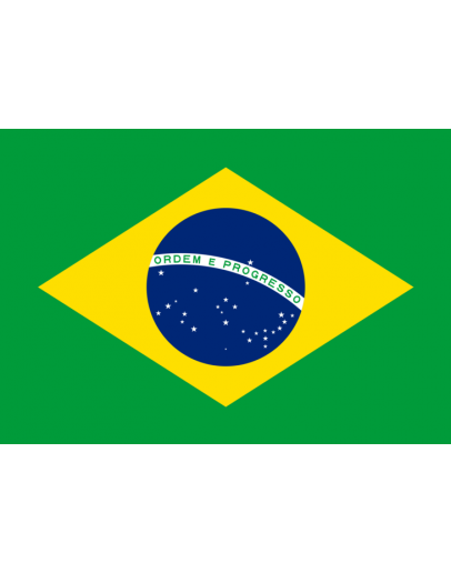 Bandiera Brasile 