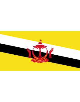 Flag Brunei 