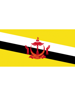 Bandiera Brunei 