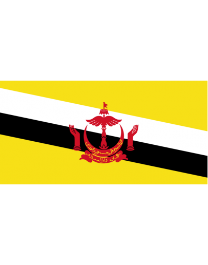 Bandiera Brunei 