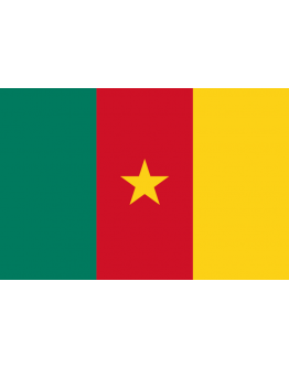 Bandiera Camerun