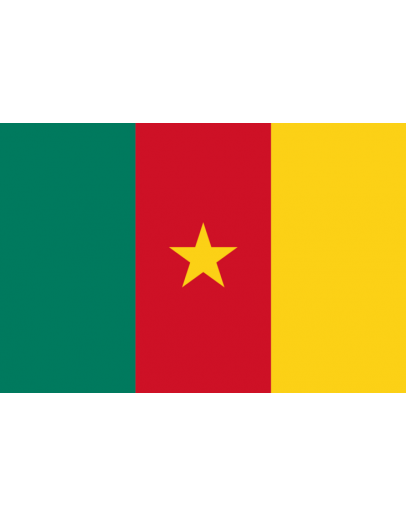 Bandiera Camerun