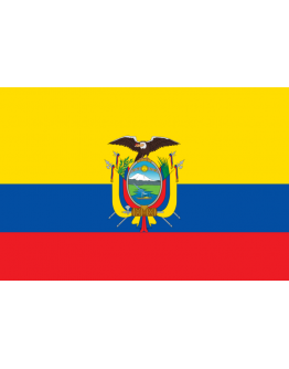 Bandiera Ecuador 