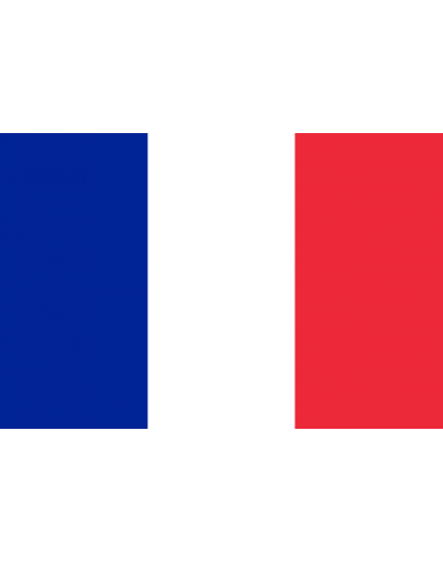 Bandiera Francia
