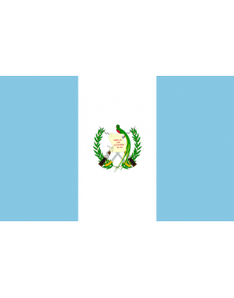 Bandiera Guatemala 