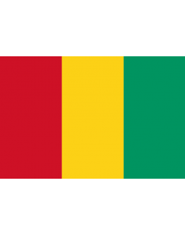 Bandiera Guinea