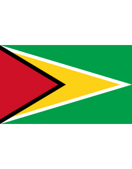 Bandiera Guyana