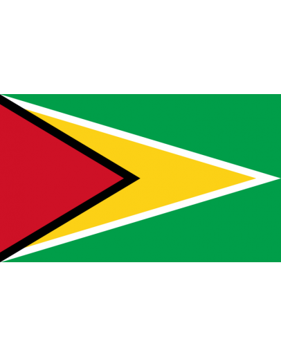 Bandiera Guyana
