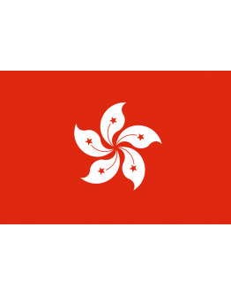 Bandiera Hong Kong 