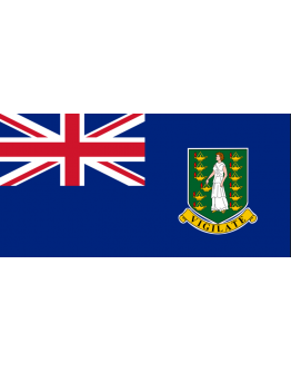 Bandiera Isole Vergini Britanniche - 20 x 30