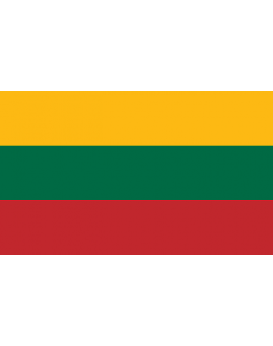 Литван. Флаг Литвы. Флаг литовцев. Флаг Литвы 1936. Флаг Литвы фото.