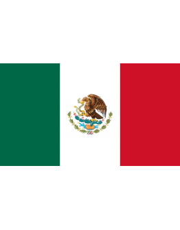 Bandiera Messico