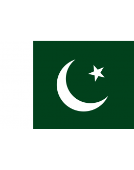 Bandiera Pakistan 