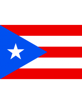 Bandiera Porto Rico