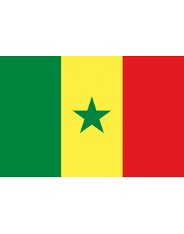 Bandiera Senegal 
