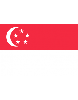 Bandiera Singapore