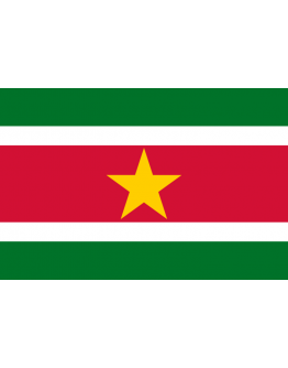 Bandiera Suriname 
